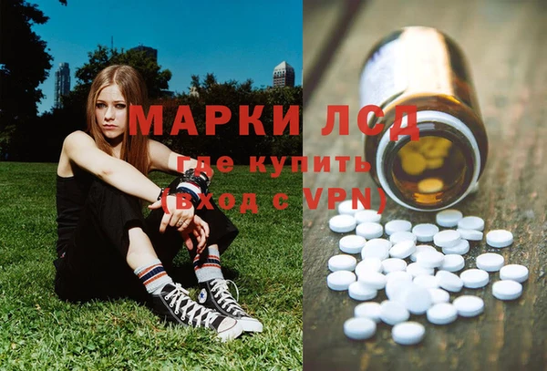 a pvp Аркадак